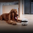 EnaBot EBO AIR 2 Plus - home companion robot