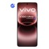 VIVO X300 Ultra 17.3 cm (6.82
