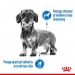 Royal Canin CCN MINI LIGHT WEIGHT CARE - dry food for adult dogs - 3kg