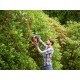 Black & Decker BEHTS451-QS power hedge trimmer Black & Decker BEHTS451-QS power hedge trimmer