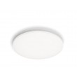Philips Functional Izso Ceiling Light 40 W
