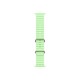 Apple Natural Titanium Finish Band Green Fluoroelastomer, Titanium Apple Natural Titanium Finish Band Green Fluoroelastomer, Titanium