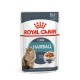 ROYAL CANIN Hairball Care Wet cat food Chunks in sauce 12x85 g