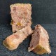PUPIL Premium All Meat Gold Saddle of lamb - wet dog food - 800g