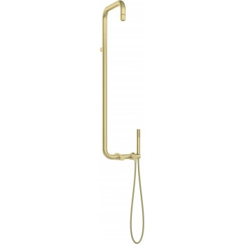 Shower head with shower mixer