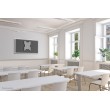 Neomounts WL85-515WH16 TV wall mount 55-75