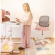 Desk Study 5.0 Pink