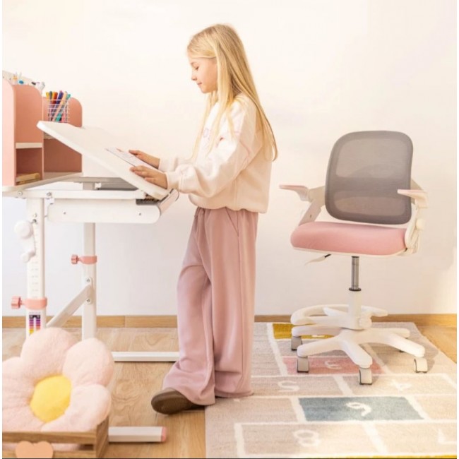 Desk Study 5.0 Pink