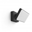 Philips Hue White Welcome Outdoor Floodlight