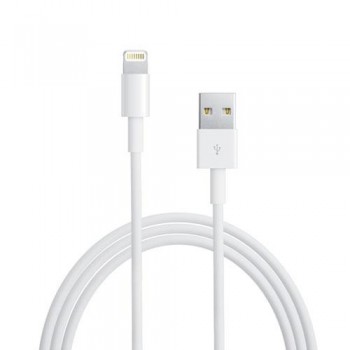 Kαλώδιο Σύνδεσης Apple MD818 USB A σε Lightning 1m (Ασυσκεύαστο)