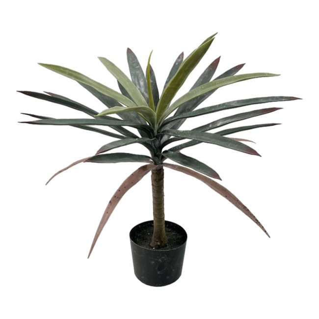 Διακοσμητικό φυτό Dracaena palm σε γλάστρα Inart πράσινο pp Υ62εκ Διακοσμητικό φυτό Dracaena palm σε γλάστρα Inart πράσινο pp Υ62εκ
