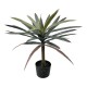 Διακοσμητικό φυτό Dracaena palm σε γλάστρα Inart πράσινο pp Υ62εκ Διακοσμητικό φυτό Dracaena palm σε γλάστρα Inart πράσινο pp Υ62εκ