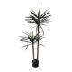 Διακοσμητικό φυτό Dracaena palm σε γλάστρα Inart πράσινο pp Υ125εκ Διακοσμητικό φυτό Dracaena palm σε γλάστρα Inart πράσινο pp Υ125εκ