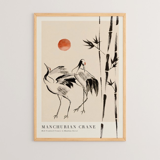 Πίνακας Birdo pakoworld με ψηφιακή εκτύπωση και πλαίσιο 33x1.5x48εκ Πίνακας Birdo pakoworld με ψηφιακή εκτύπωση και πλαίσιο 33x1.5x48εκ