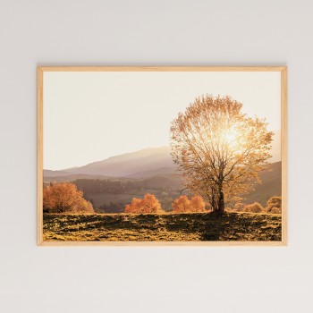 Πίνακας Vila pakoworld με ψηφιακή εκτύπωση και πλαίσιο 48x1.5x33εκ Πίνακας Vila pakoworld με ψηφιακή εκτύπωση και πλαίσιο 48x1.5x33εκ