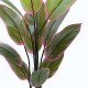 Διακοσμητικό φυτό σε γλάστρα Calathea Inart πράσινο Φ68x120εκ Διακοσμητικό φυτό σε γλάστρα Calathea Inart πράσινο Φ68x120εκ