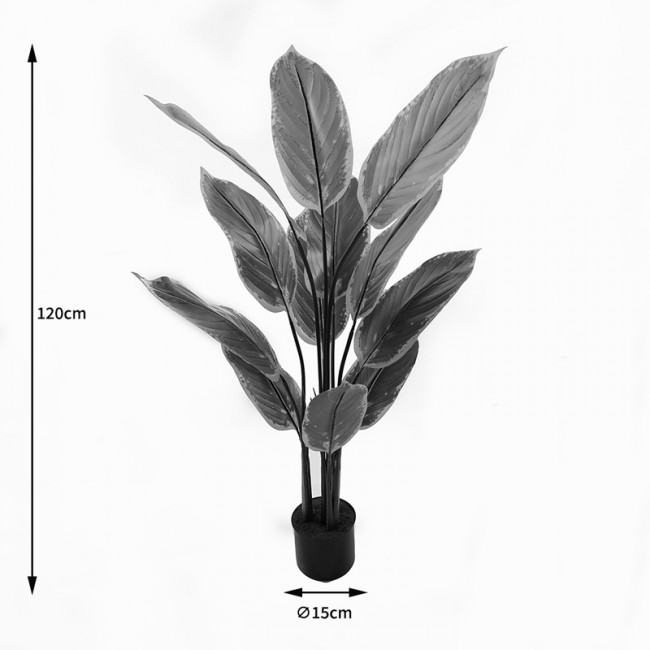 Διακοσμητικό φυτό σε γλάστρα Calathea Inart πράσινο Φ68x120εκ Διακοσμητικό φυτό σε γλάστρα Calathea Inart πράσινο Φ68x120εκ