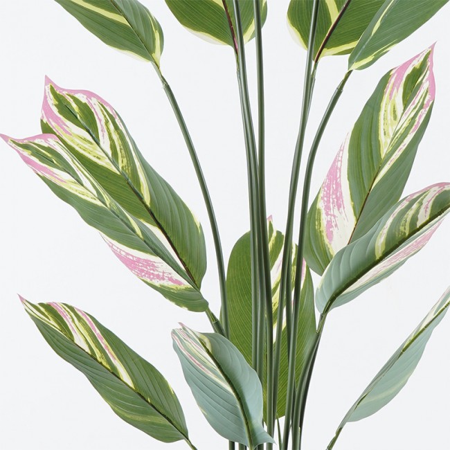 Διακοσμητικό φυτό σε γλάστρα Aglaonema Inart πράσινο Φ80x150εκ Διακοσμητικό φυτό σε γλάστρα Aglaonema Inart πράσινο Φ80x150εκ