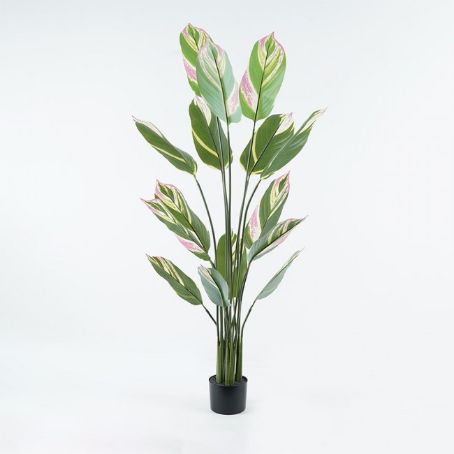 Διακοσμητικό φυτό σε γλάστρα Aglaonema Inart πράσινο Φ80x150εκ Διακοσμητικό φυτό σε γλάστρα Aglaonema Inart πράσινο Φ80x150εκ