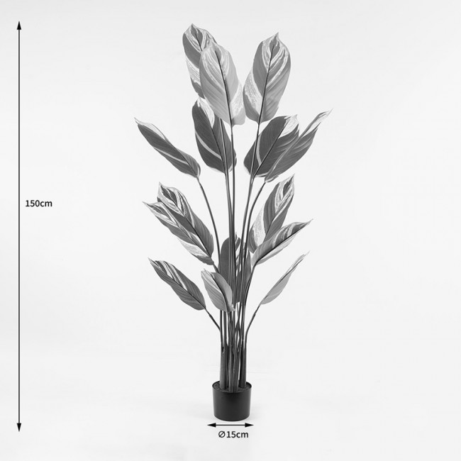 Διακοσμητικό φυτό σε γλάστρα Aglaonema Inart πράσινο Φ80x150εκ Διακοσμητικό φυτό σε γλάστρα Aglaonema Inart πράσινο Φ80x150εκ