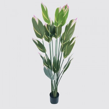 Διακοσμητικό φυτό σε γλάστρα Lucky Inart πράσινο Φ80x180εκ Διακοσμητικό φυτό σε γλάστρα Lucky Inart πράσινο Φ80x180εκ
