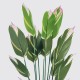 Διακοσμητικό φυτό σε γλάστρα Lucky Inart πράσινο Φ80x180εκ Διακοσμητικό φυτό σε γλάστρα Lucky Inart πράσινο Φ80x180εκ