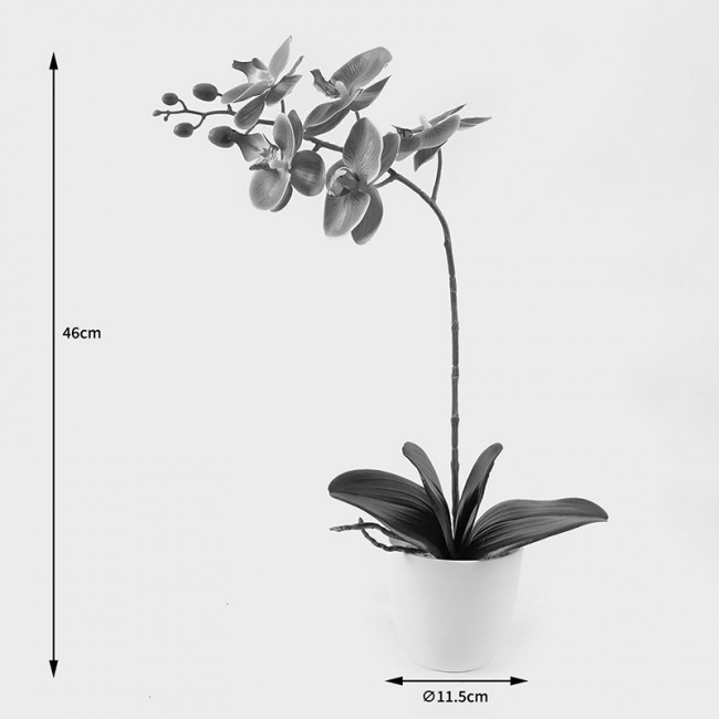 Διακοσμητικό φυτό σε γλάστρα Οrchid Beauty Inart 30x13x46εκ
