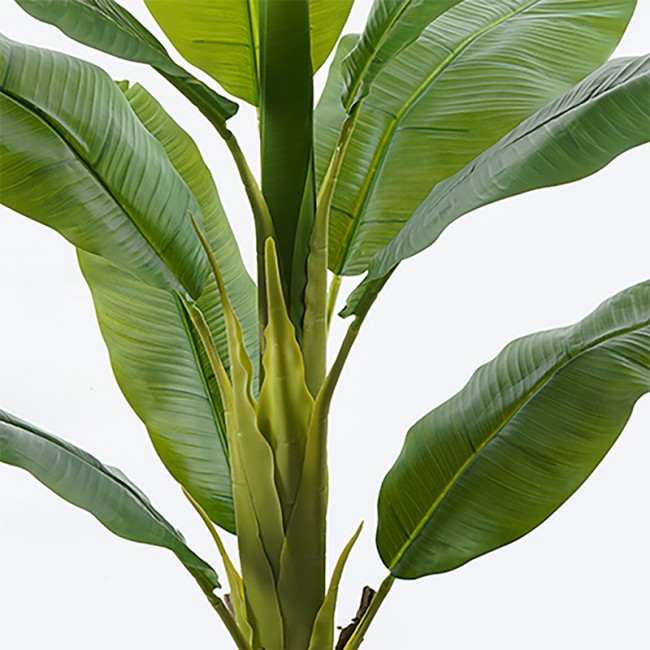 Διακοσμητικό φυτό σε γλάστρα Banono Inart πράσινο Φ95x160εκ Διακοσμητικό φυτό σε γλάστρα Banono Inart πράσινο Φ95x160εκ