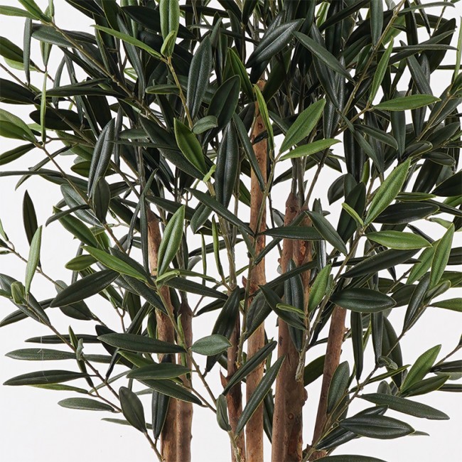 Διακοσμητικό φυτό σε γλάστρα Olia Inart πράσινο Φ52x120εκ Διακοσμητικό φυτό σε γλάστρα Olia Inart πράσινο Φ52x120εκ