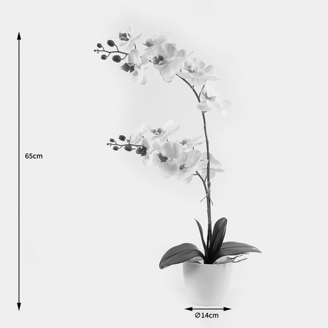 Διακοσμητικό φυτό σε γλάστρα Οrchid White Inart 36x17x65εκ Διακοσμητικό φυτό σε γλάστρα Οrchid White Inart 36x17x65εκ