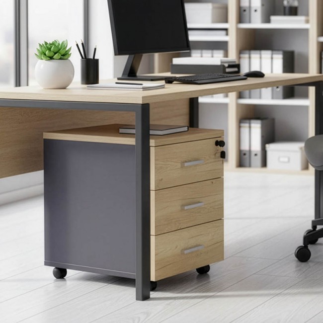 Συρταριέρα τροχήλατη Lotus pakoworld 3ων συρταρίων φυσικό-ανθρακί χρώμα 40x47x55εκ Συρταριέρα τροχήλατη Lotus pakoworld 3ων συρταρίων φυσικό-ανθρακί χρώμα 40x47x55εκ